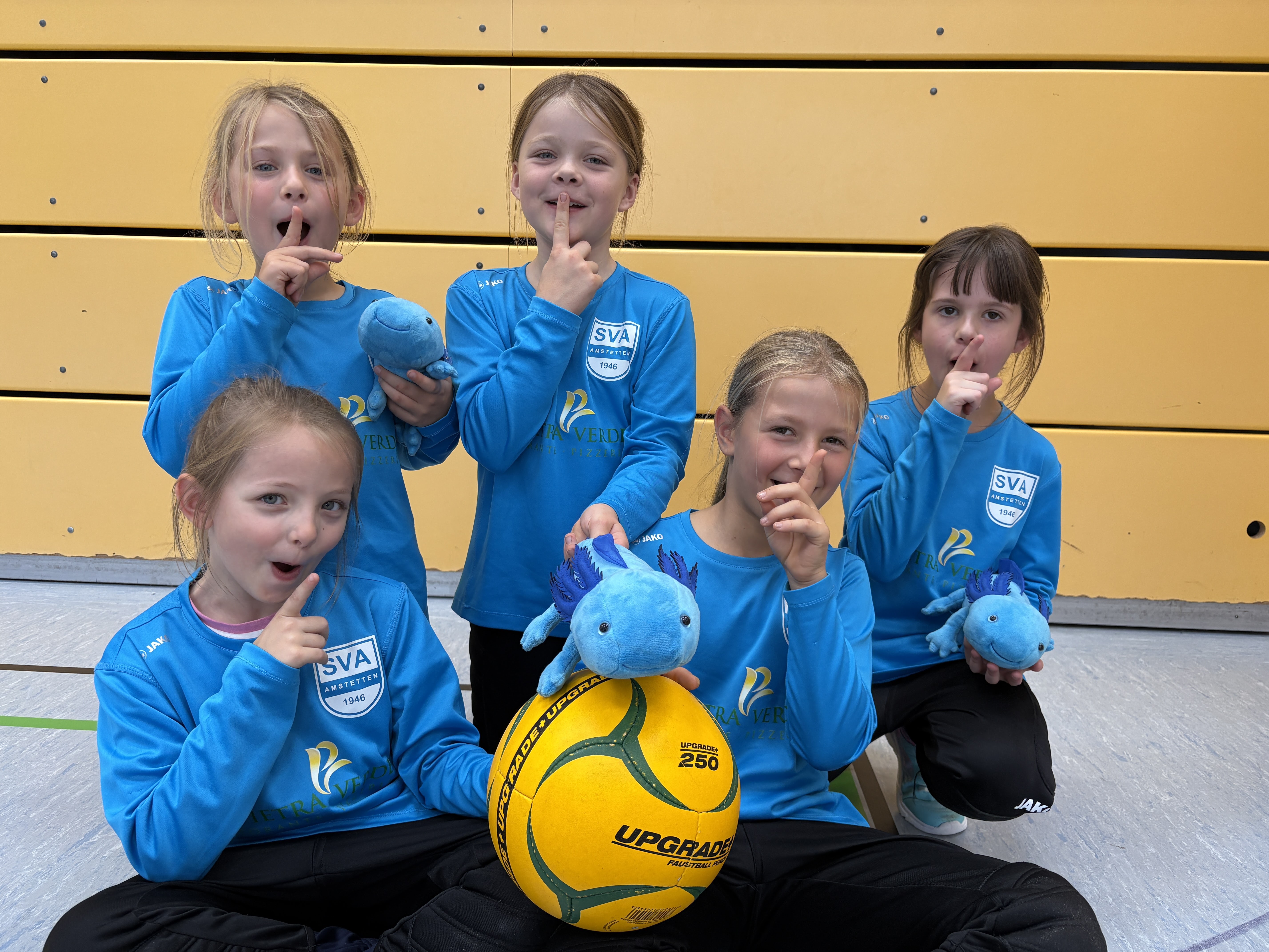 SV Amstetten Berichte Faustball