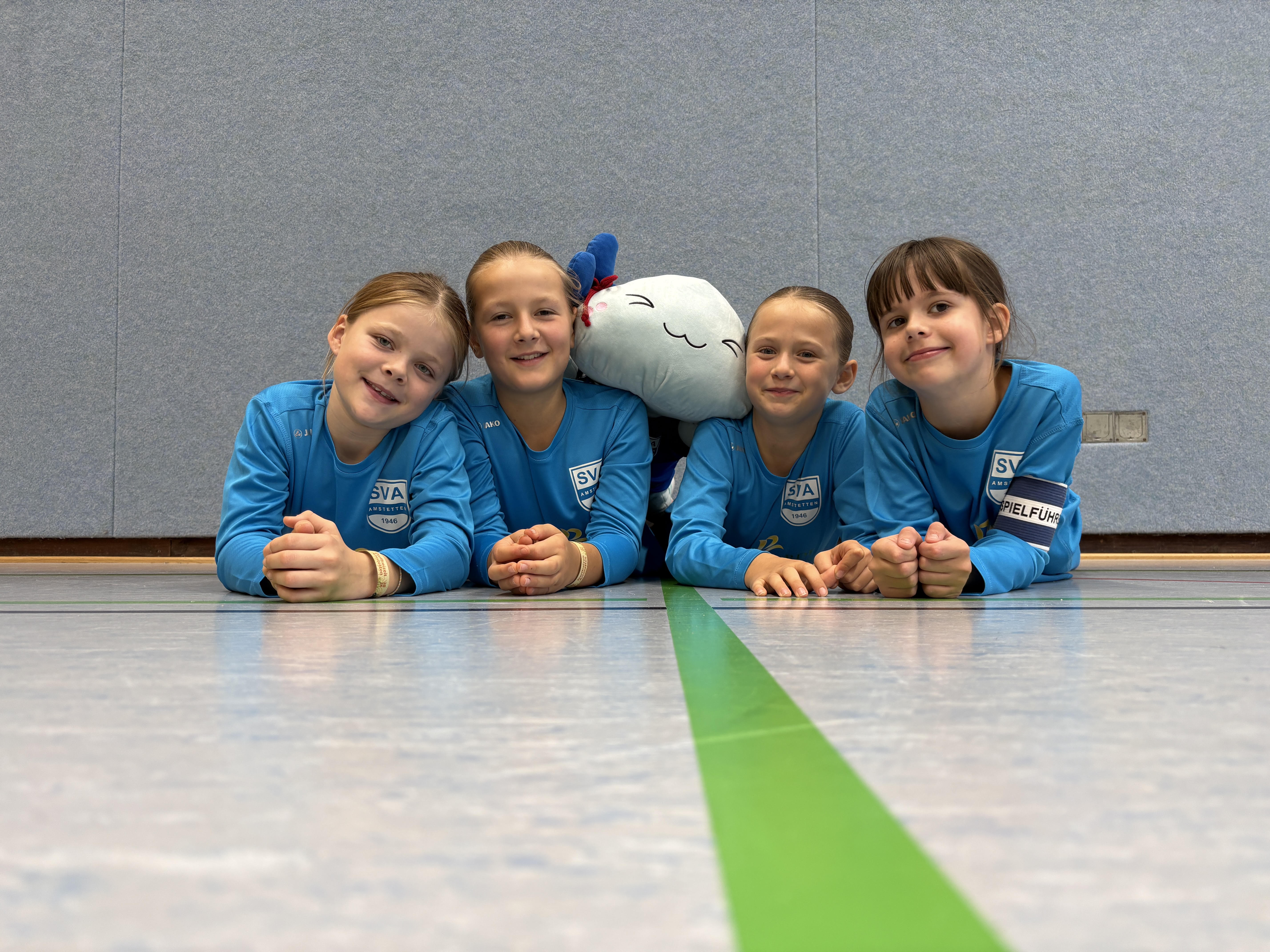 SV Amstetten Berichte Faustball