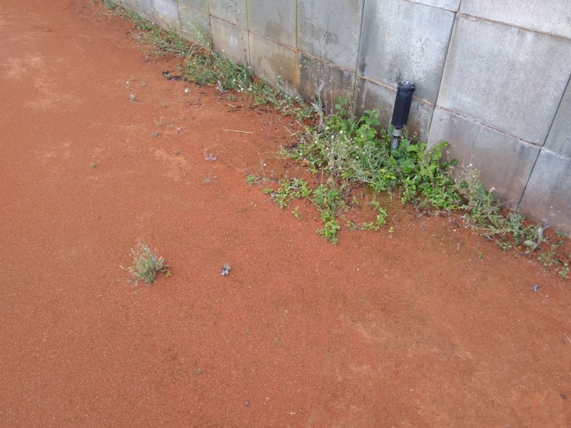 Fotos zu Arbeitsdienst offen Tennis SV Amstetten