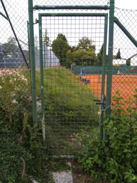 Fotos zu Arbeitsdienst offen Tennis SV Amstetten